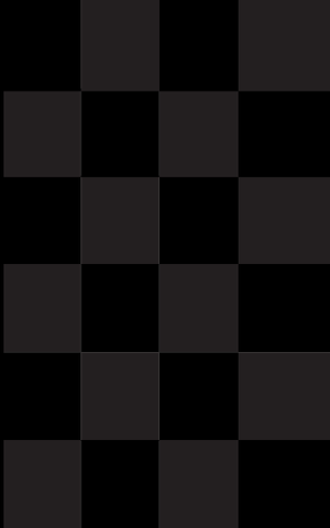 Different blacks and other essays cover